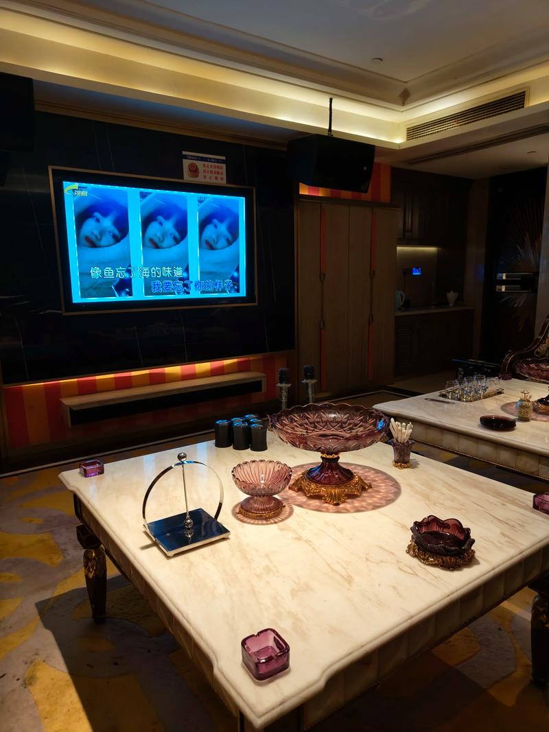 营口商务ktv创新趣味新玩法揭秘-老边区ktv预订